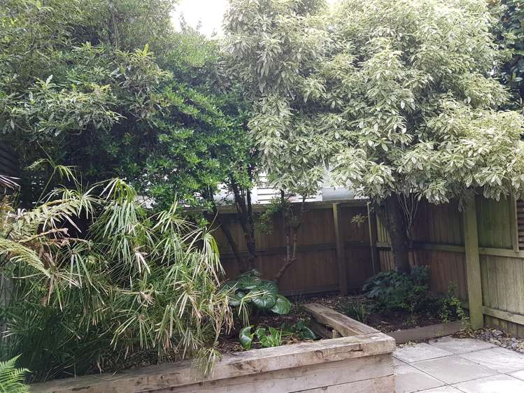 3/62 Burke Street Addington_12