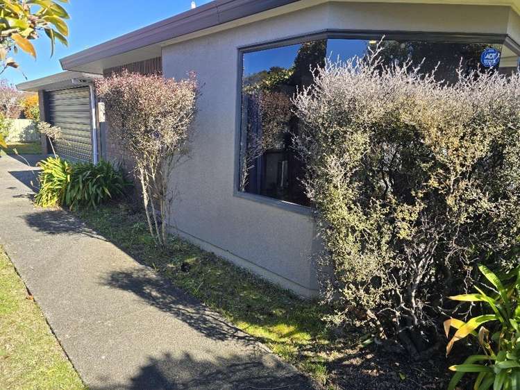 50 Arrowsmith Avenue 1140_13