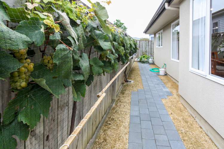 47a Russell Robertson Drive Havelock North_14