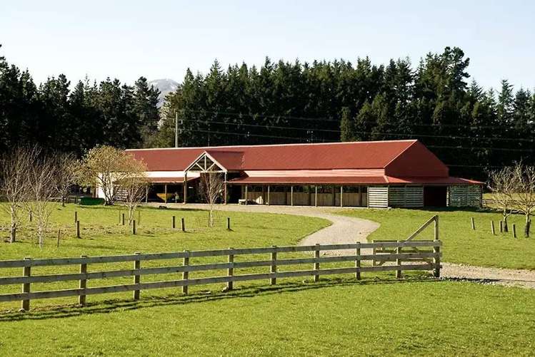 620 Coleridge Road Windwhistle_5