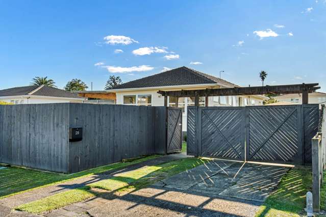 29 Sunnypark Avenue Rosehill_3