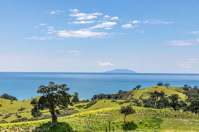 306 Sea View Road - Wawata Estate Waiheke Island_2