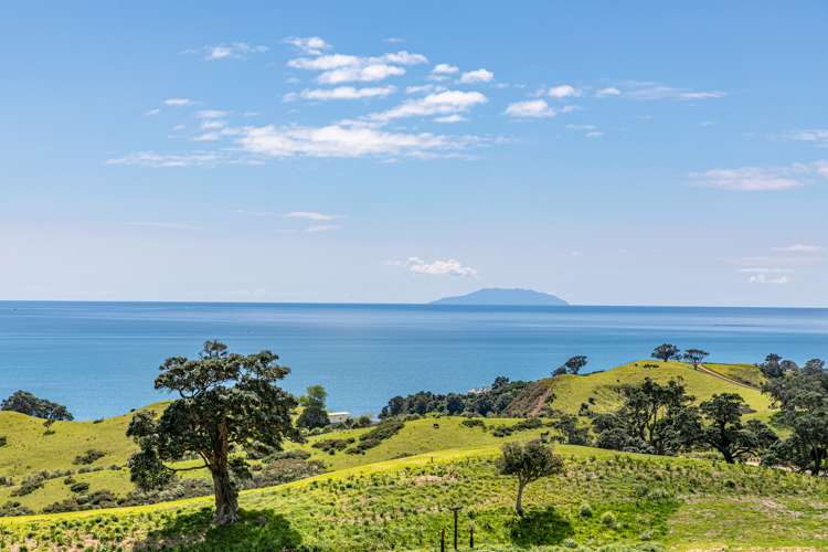 306 Sea View Road - Wawata Estate Waiheke Island_1