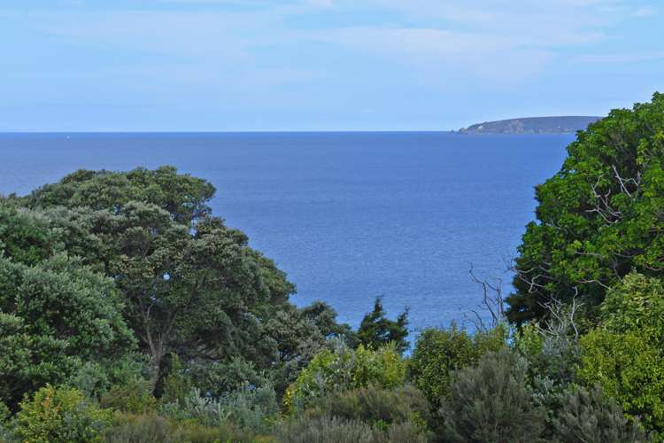 42 Wonderview Road Leigh_1