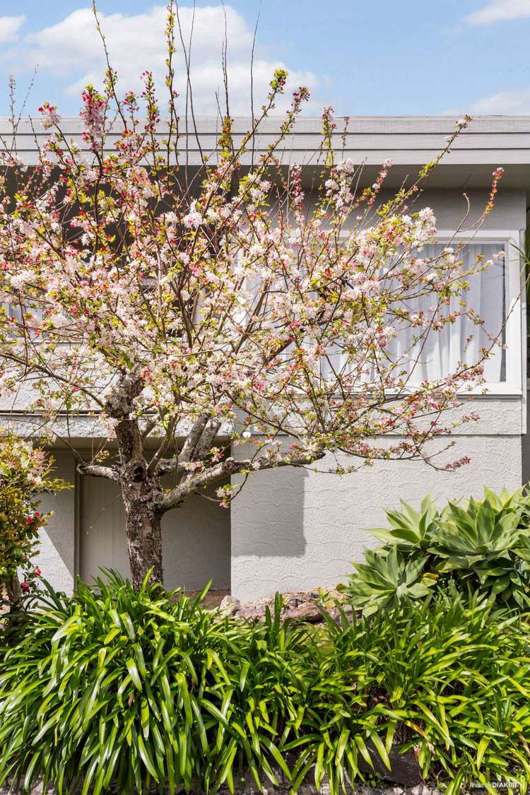 14 Bongard Road Mission Bay_30