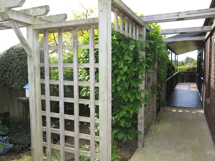 45 Newman Street Waimataitai_6