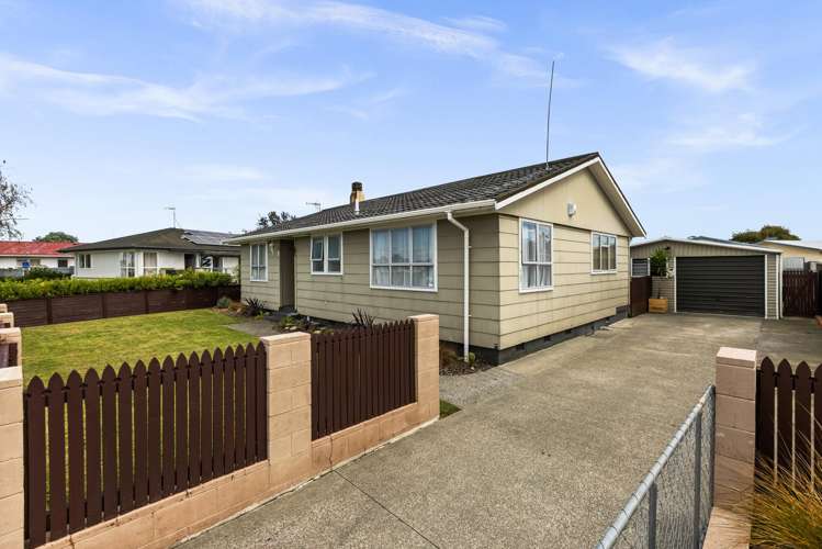 30 Norfolk Street Tamatea_14