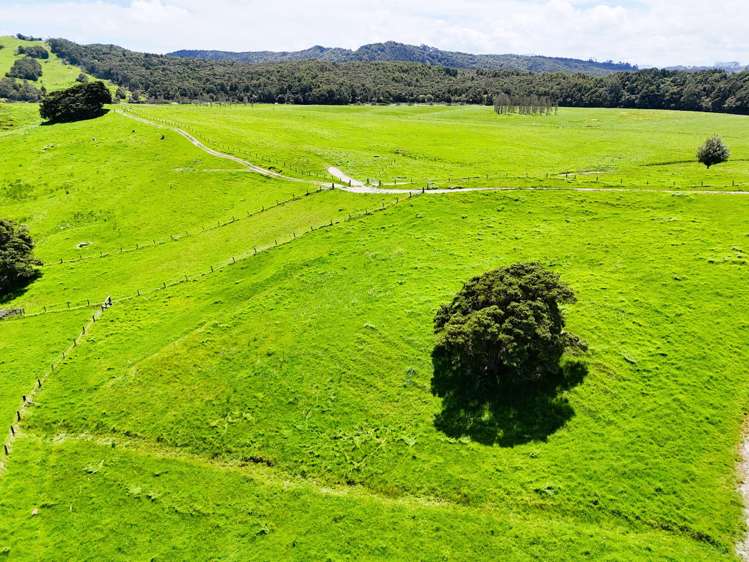 Lot 3 Pukehuia Road Arapohue_6