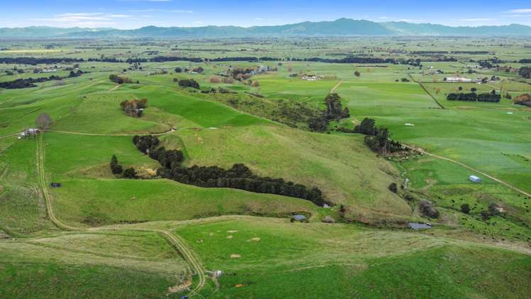 364 Quine Road Tahuna_5