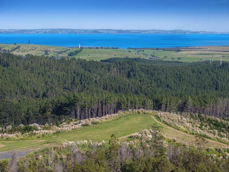 197 Tuhirangi Road_3