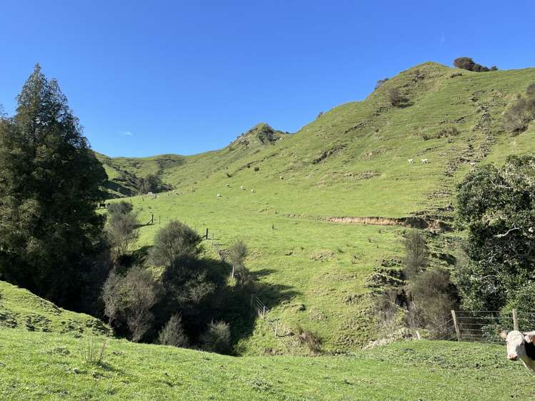 166 Saddler Road Ruapehu_18