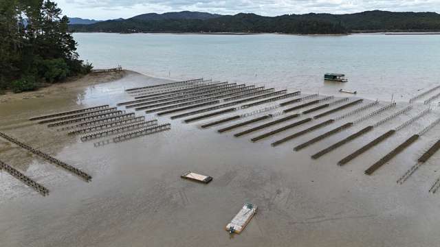 Waikare Inlet Opua_2