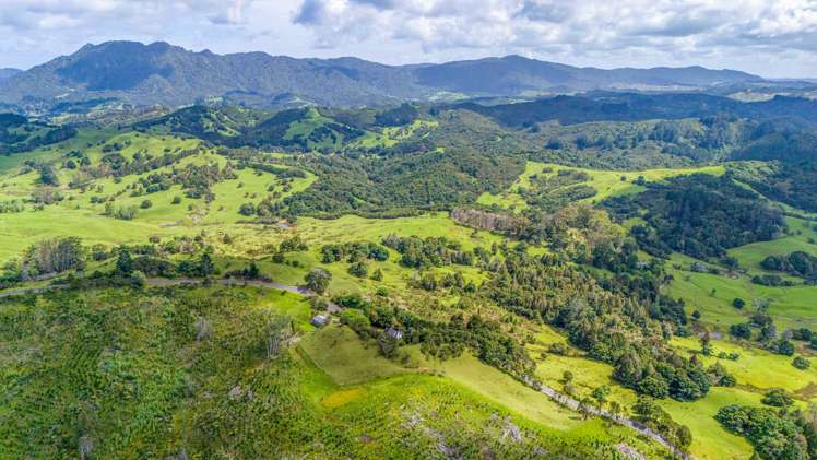 3222 Kaitaia-Awaroa Road Herekino_34