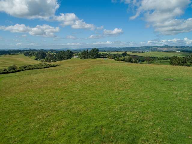 100 Burtt Road Paerata_2