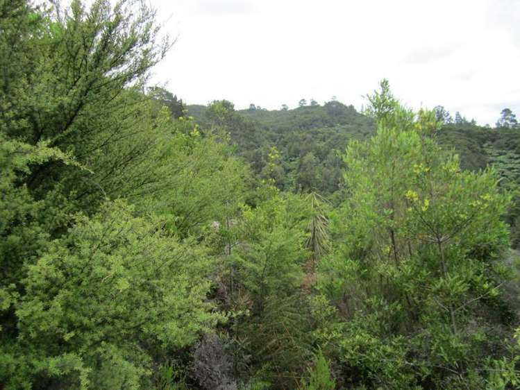 321a Quine Road Tahuna_9