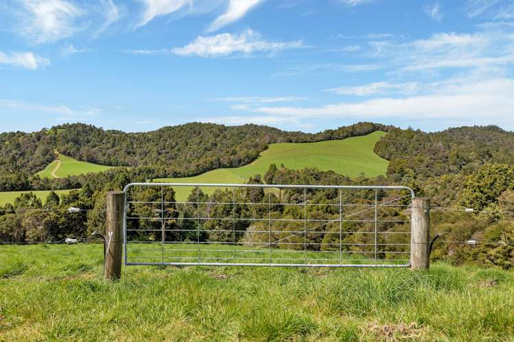 123 Waipipi Road Whananaki_38