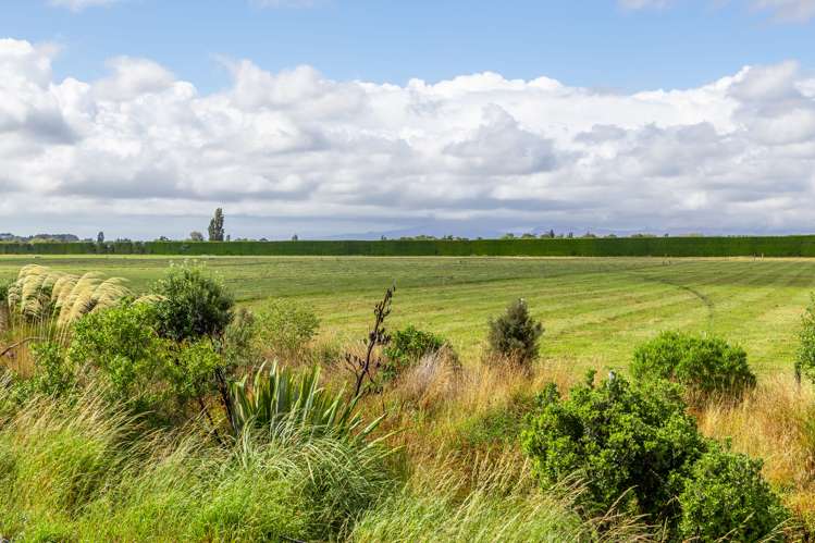 589 Coutts Island Road Coutts Island_28