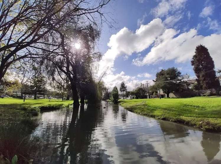 18 Standen Avenue Remuera_4