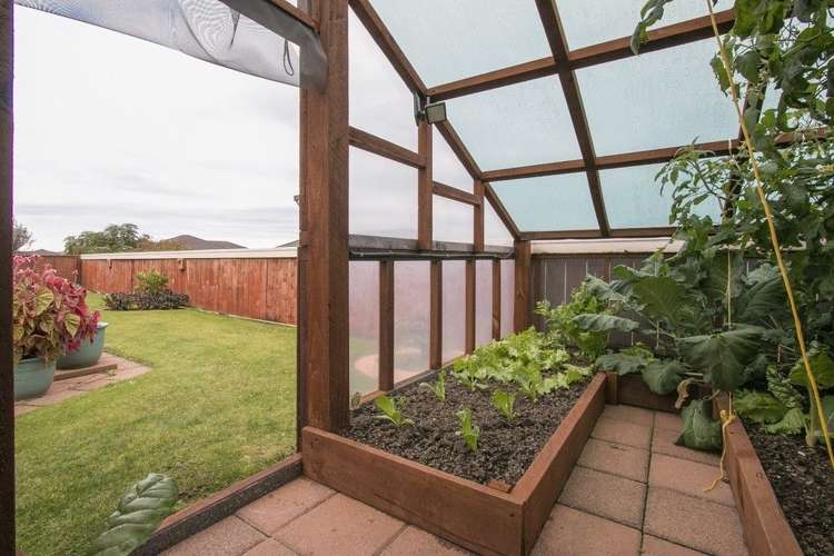 53 Malta Crescent Katikati_15