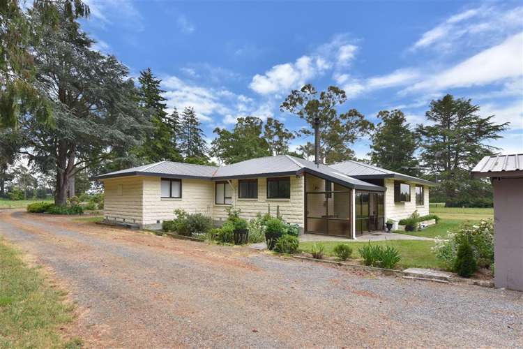 1306 Two Chain Road Swannanoa_5