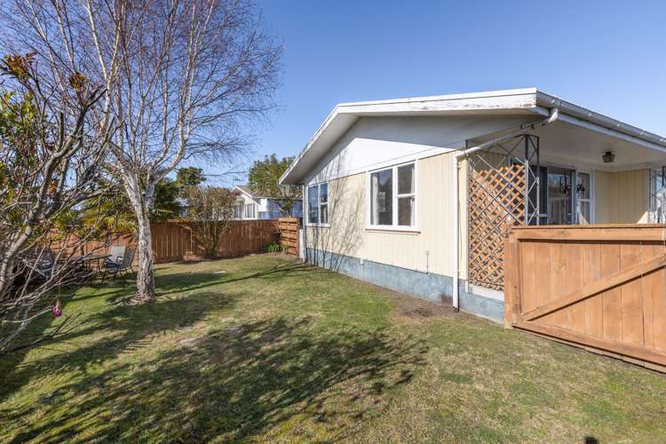 35 Bristol Street Tamatea_12