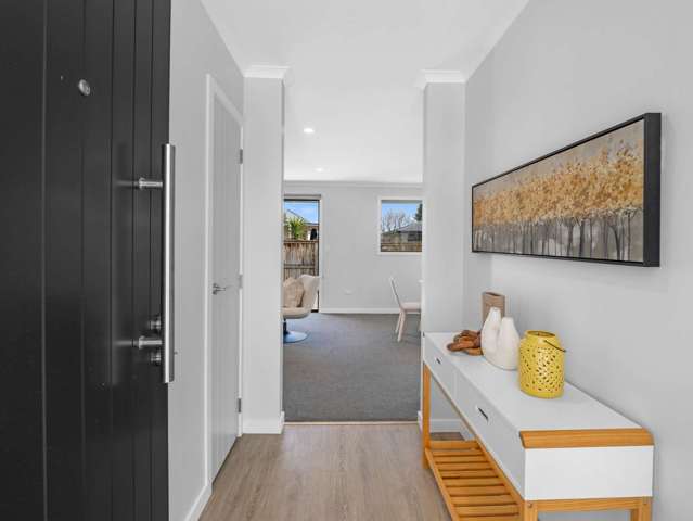 137a Winchester Street Levin_3