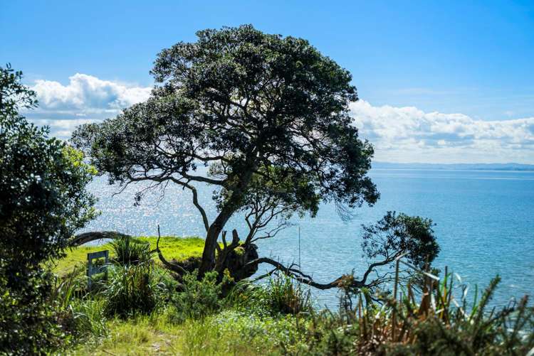 144 Kauri Road Awhitu_11