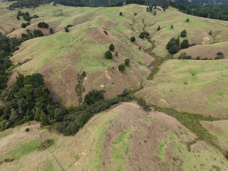 290 Hillcrest Road Waiotira_17