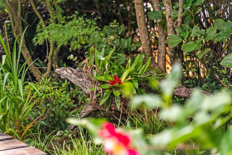 2080 State Highway 1 Hukerenui_21