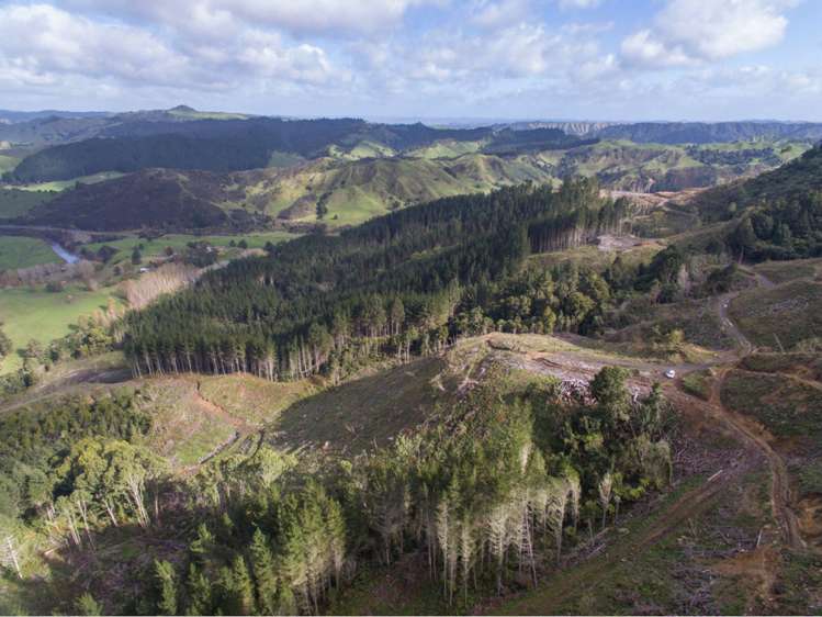 15 State Highway 49 Ohakune_12