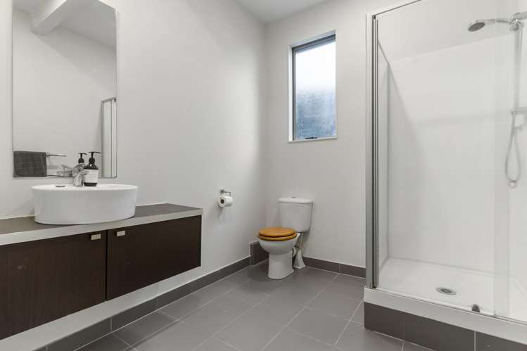 37 Roberton Road Avondale_13