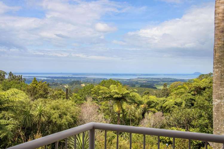 425B Lund Road Katikati_22