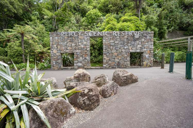 56 Oakleigh Street Maungaraki_21