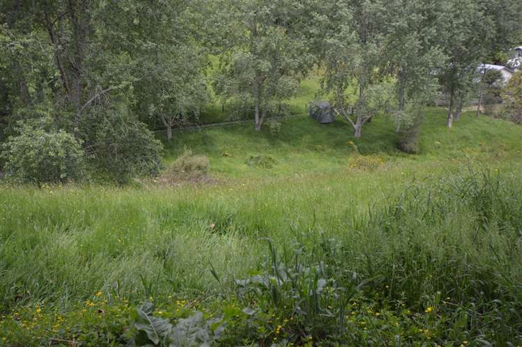 50 Bullians Avenue Taumarunui_24