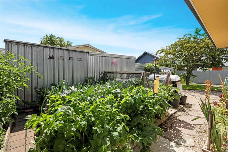 41 Andrew Street Allenton_22