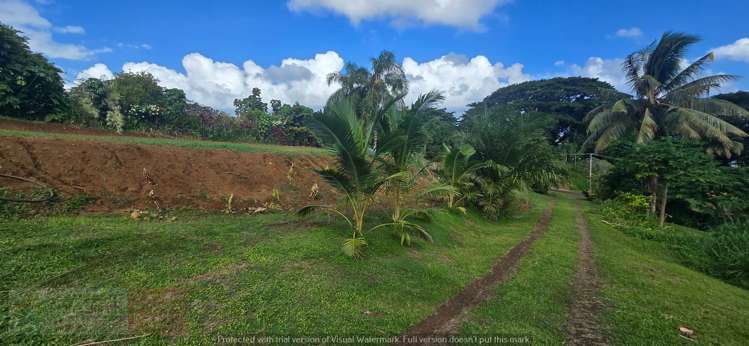 Address withheld Savusavu_13