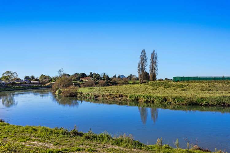 81 College Road Edgecumbe_20