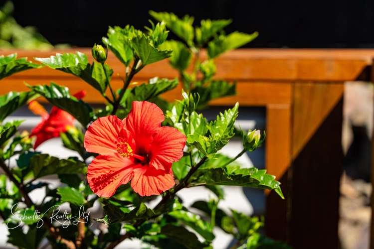 4 Hebe Lane Maungaturoto_34