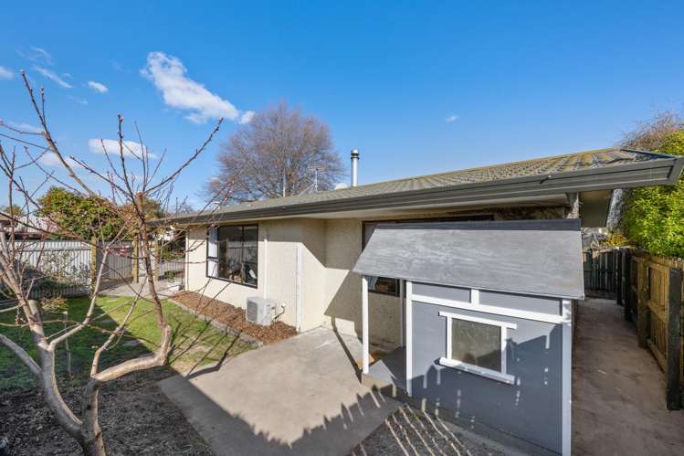 1/18a Ward Street Springlands_15