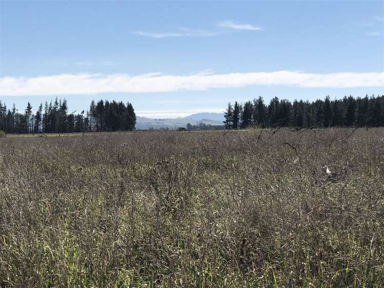 80 Struie Road Hororata_18