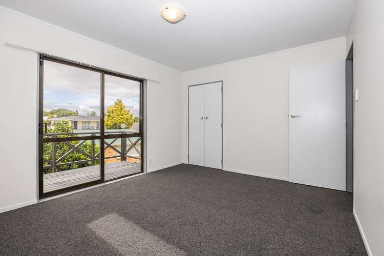 27 Elizabeth Avenue Te Awamutu_10