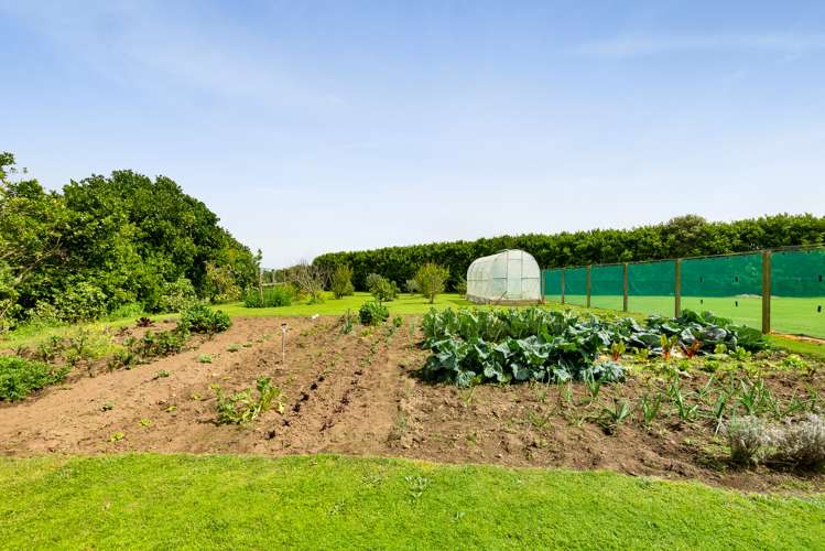 219 Brown Road Waitara_4