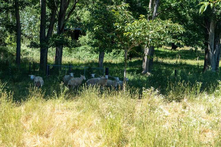 300 Sunday Creek Road Thorpe_39