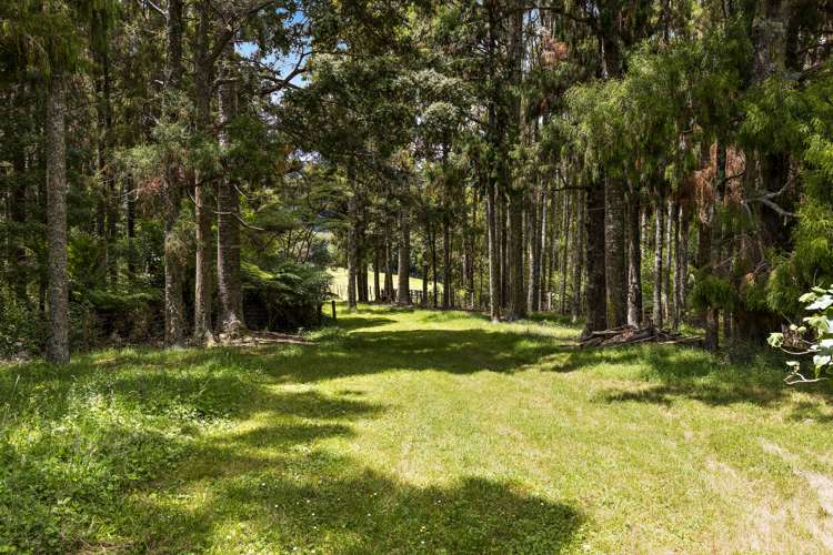 1021 Woodcocks Road Kaipara Flats_24