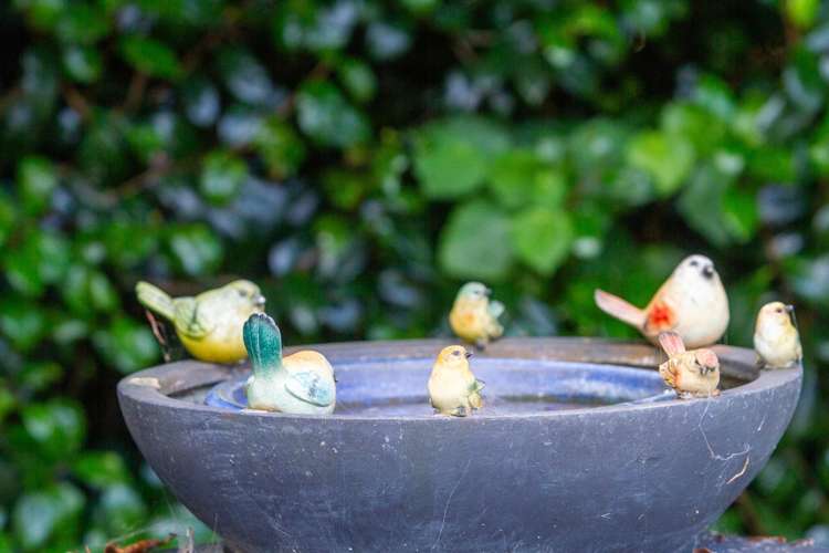 244 Lindemann Road Tahawai_19