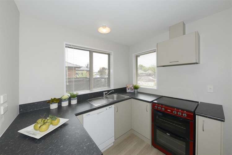 17 Picton Avenue Riccarton_7