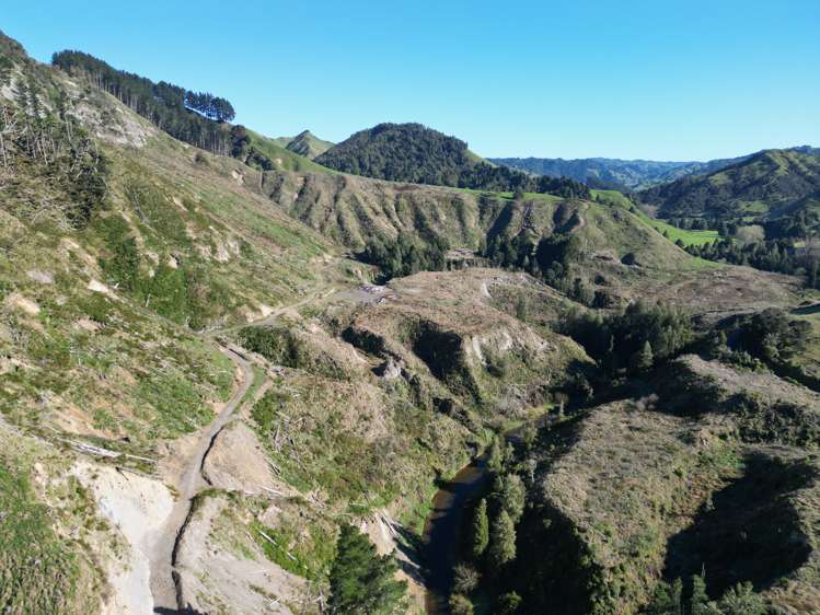 Cnr Whanganui River Road and Otunui South Road Taumarunui_9
