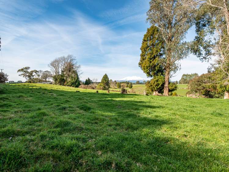 State Highway 4 Owhango_10