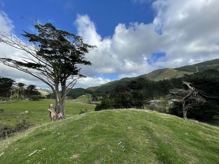 340 South Makara Road Makara_11