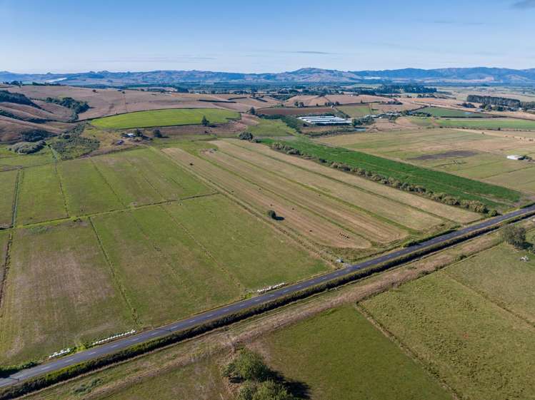 229 Wily Road Puni_7